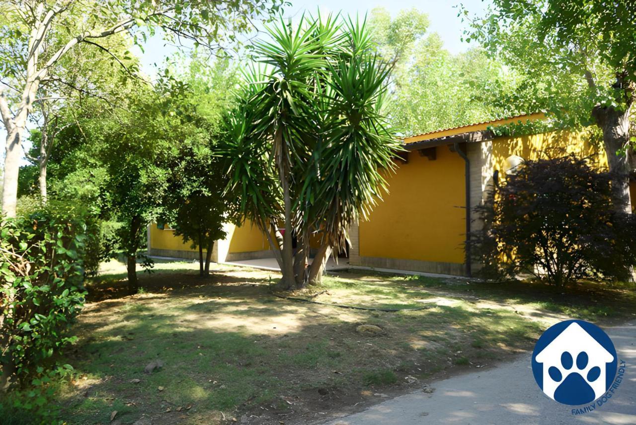 La Risacca Family Camping Village Porto SantʼElpidio Esterno foto