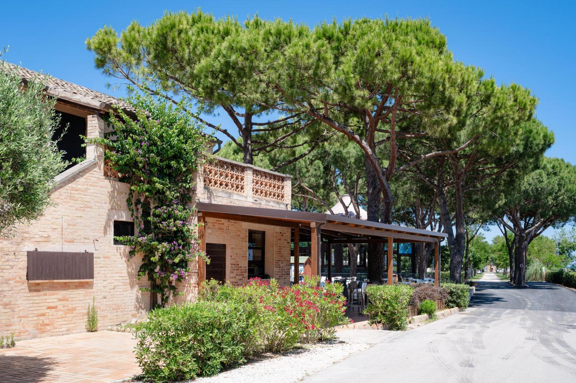 La Risacca Family Camping Village Porto SantʼElpidio Esterno foto